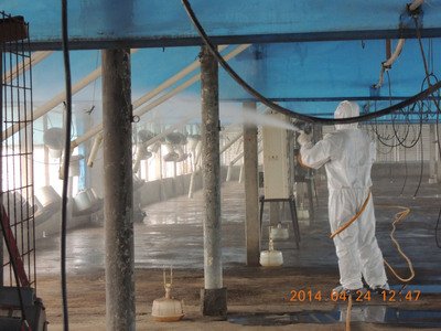 Taiwan bestätigt ersten H5N2-Fall auf Geflügelmarkt