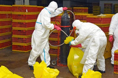 Neuer H7N9-Fall: Taiwan erhöht Reisewarnung für Chinas Jilin