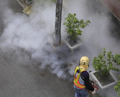 Fälle von Dengue-Fieber weiter gestiegen
