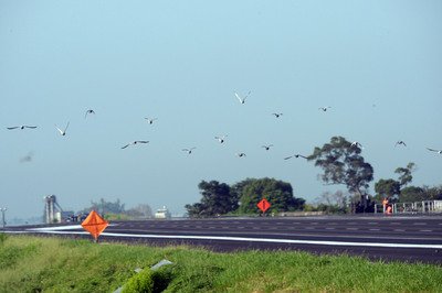 Militärübung auf Taiwans Autobahnen