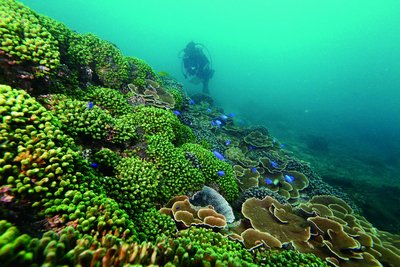 Süd-Penghu wird Taiwans 9. Nationalpark