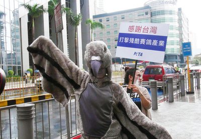 PETA lobt Taiwans Vorgehen gegen Misshandlung von Tauben