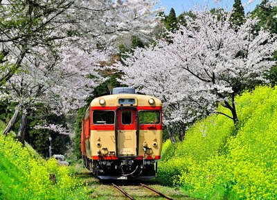 Reiseveranstalter rechnen mit Zunahme von Japanreisen