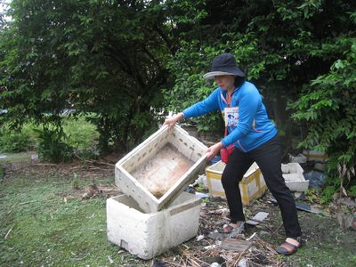 Gesundheitsamt in Hualien warnt vor Dengue-Fieber