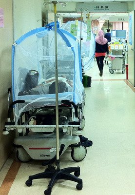 Situation von Dengue-Fieberfällen in Südtaiwan