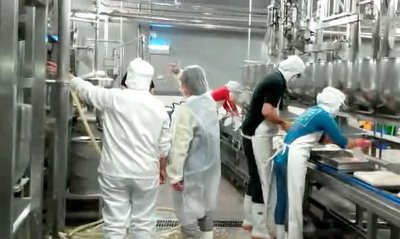FDA beschlagnahmt belasteten Trocken-Tofu