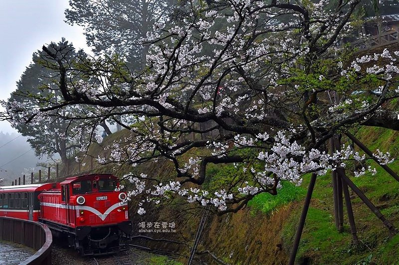 Bahnreisen in Taiwan