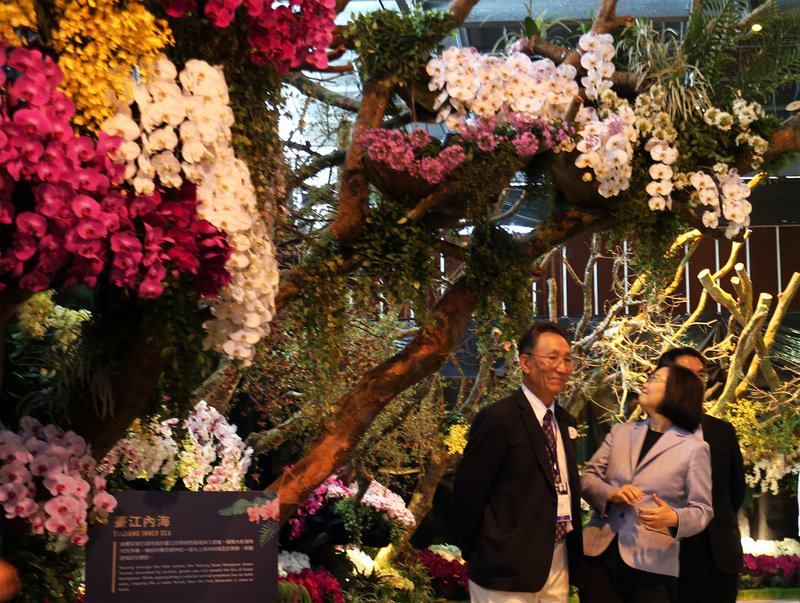 Orchideen in Taiwan