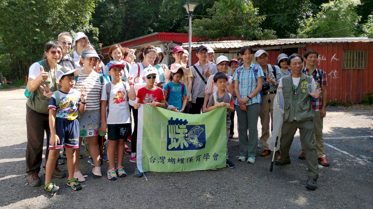 Schmetterlinge in Taipeh