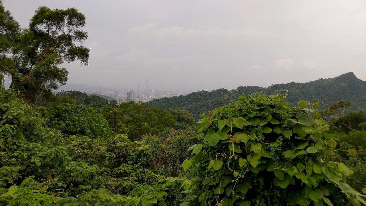 Claudius Petzold: Wanderreisen in Taiwan