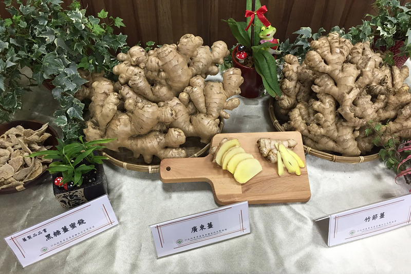Shibu 食補