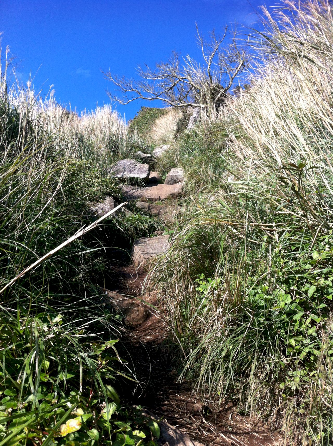 Taipei Grand Trail Hike 2