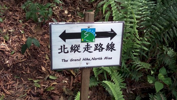 Taipei Grand Trail Hike 4