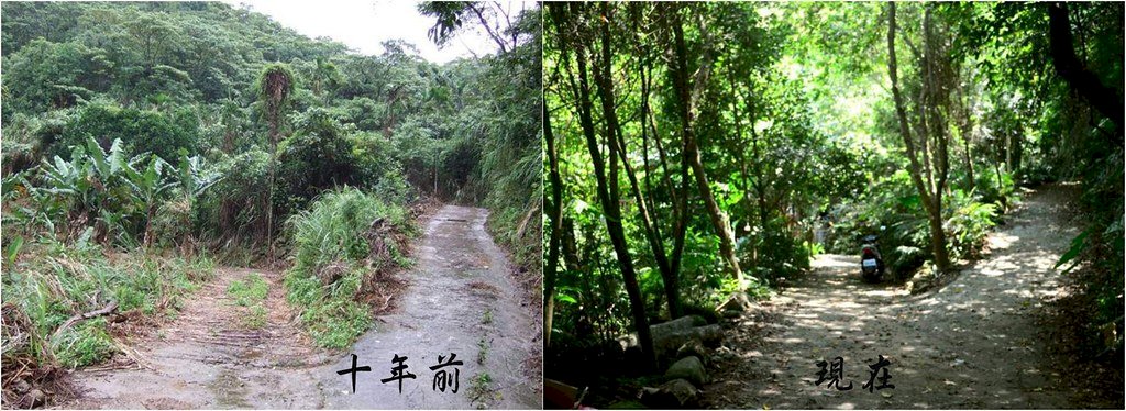 Umwelttreuhandfonds in Taiwan