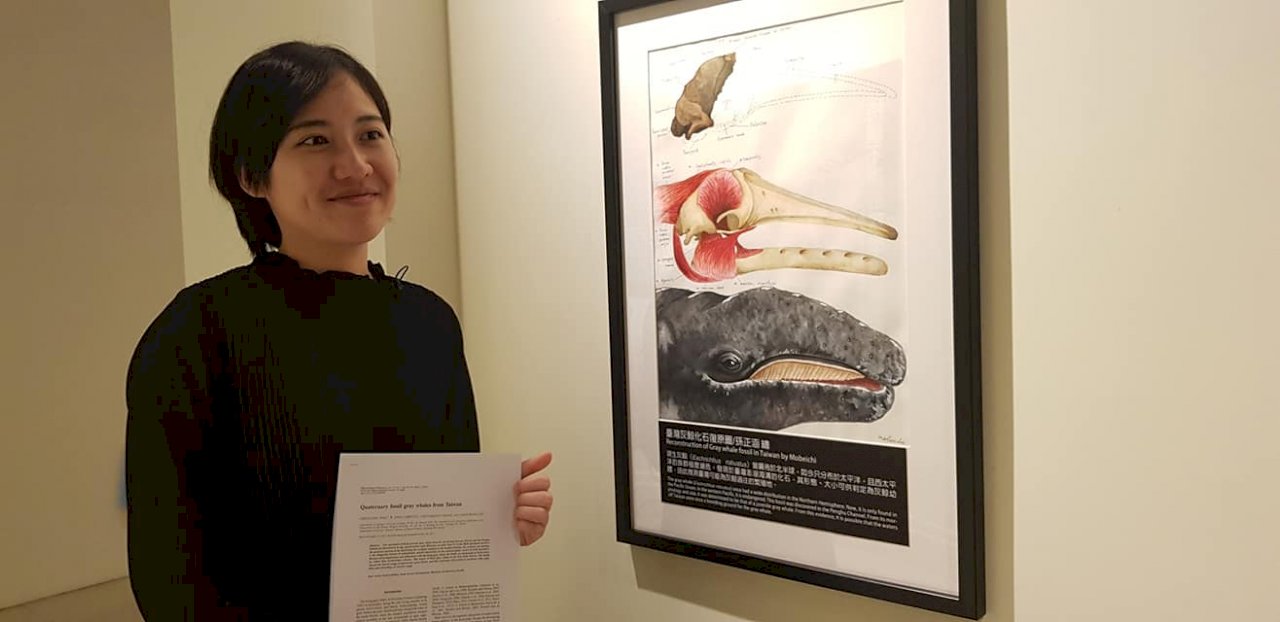 Wissenschaftliche Zeichnungen: Taiwans Tierwelt auf Papier