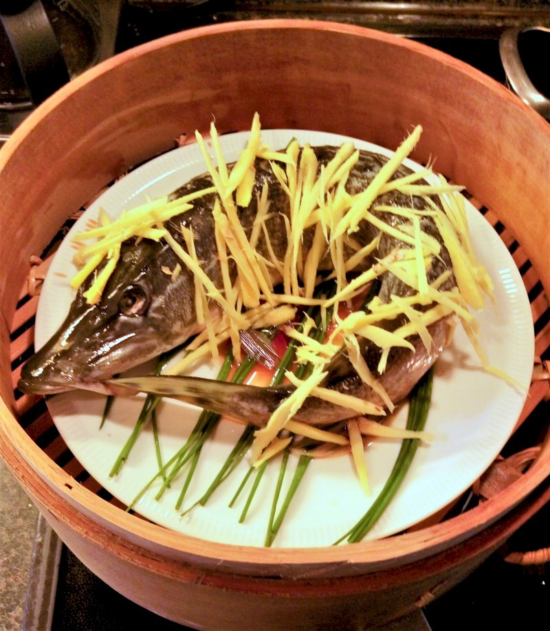 Fischrezepte
