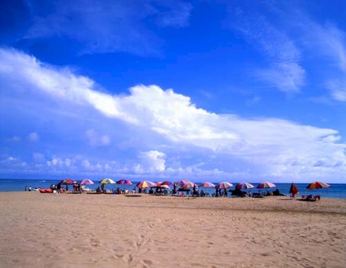 Lieder über Sommer, Sonne, Strand
