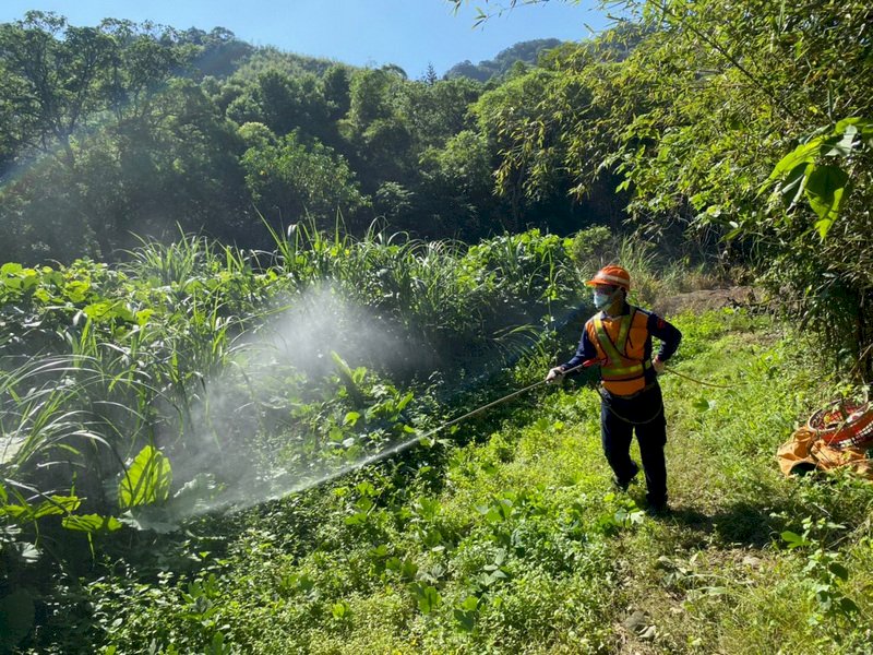 Dengue- und Grippesaison im Covid-19-Zeitalter