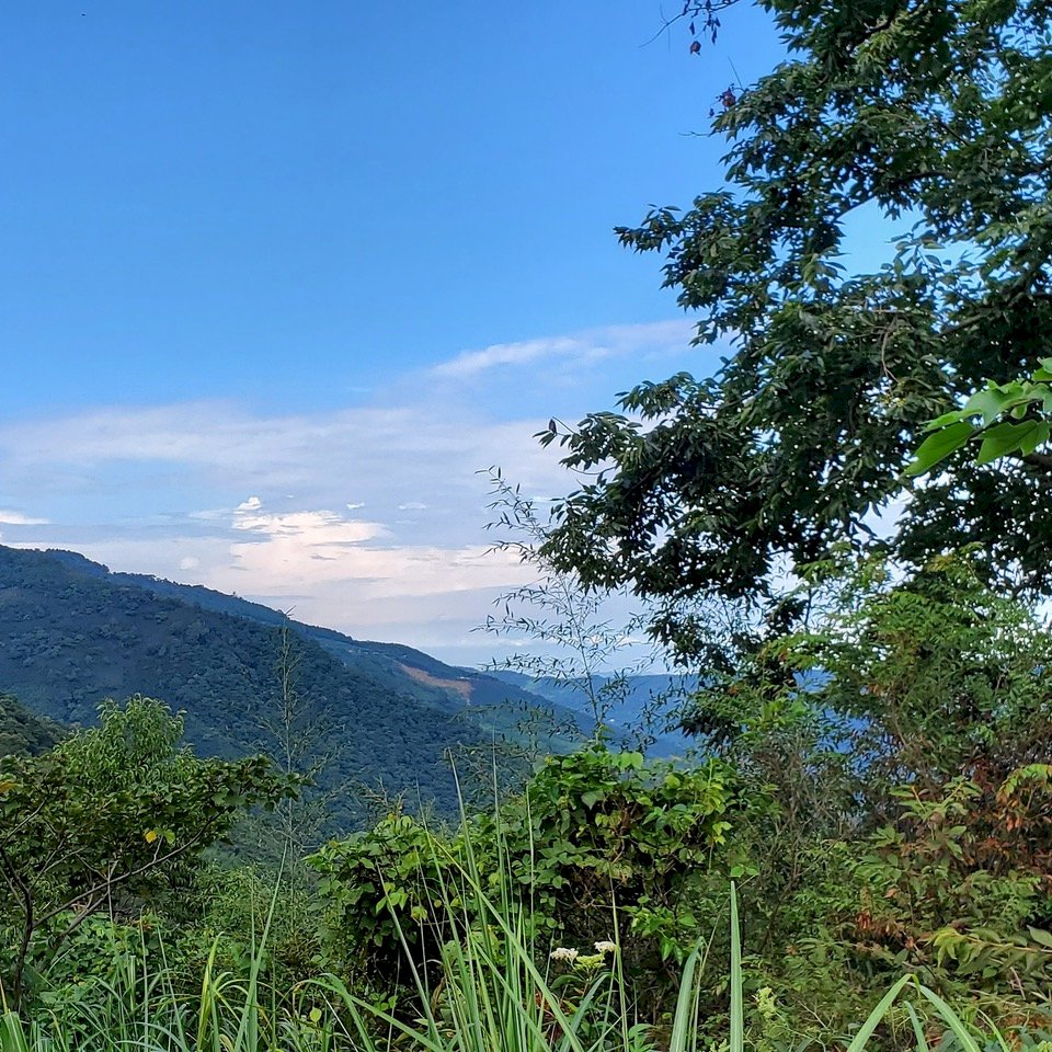 Camping in Taiwan