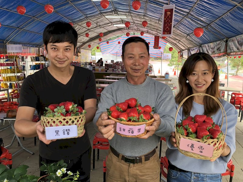 Früchte in Taiwan rund ums Jahr