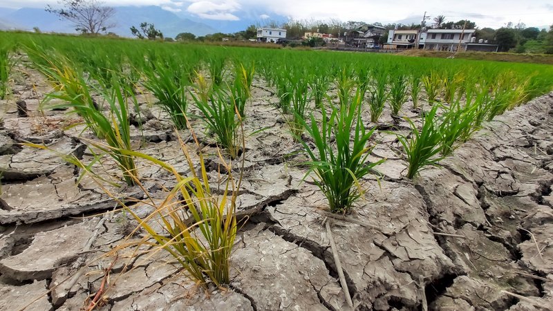 Hintergründe des Wassermangels in Taiwan