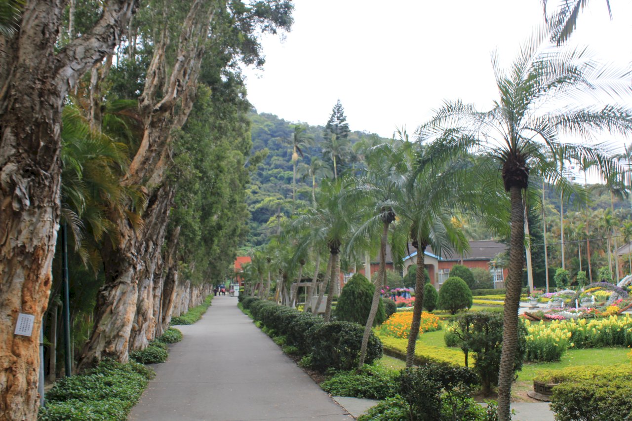 Auf Entdeckungsreise in Shilin