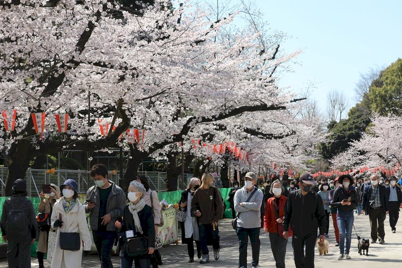 Japan öffnet Grenzen