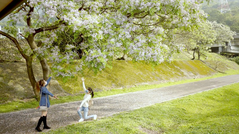 Wunderschöner Frühling