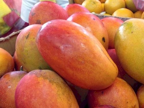Taiwan hinterfragt Nachweis von COVID-19 auf exportierten Mangos