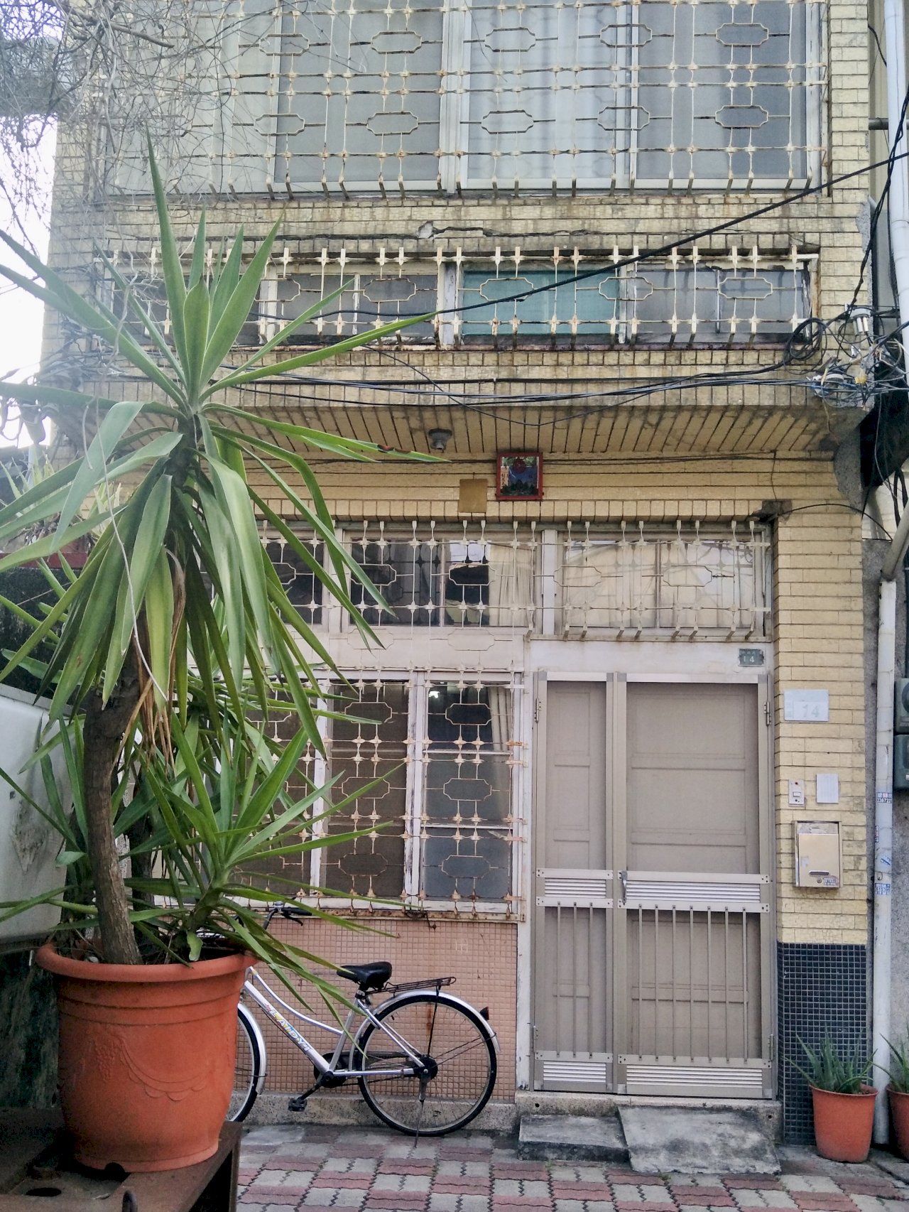 Die Spuren der Fensterblumen – wenn Fenster Geschichten erzählen