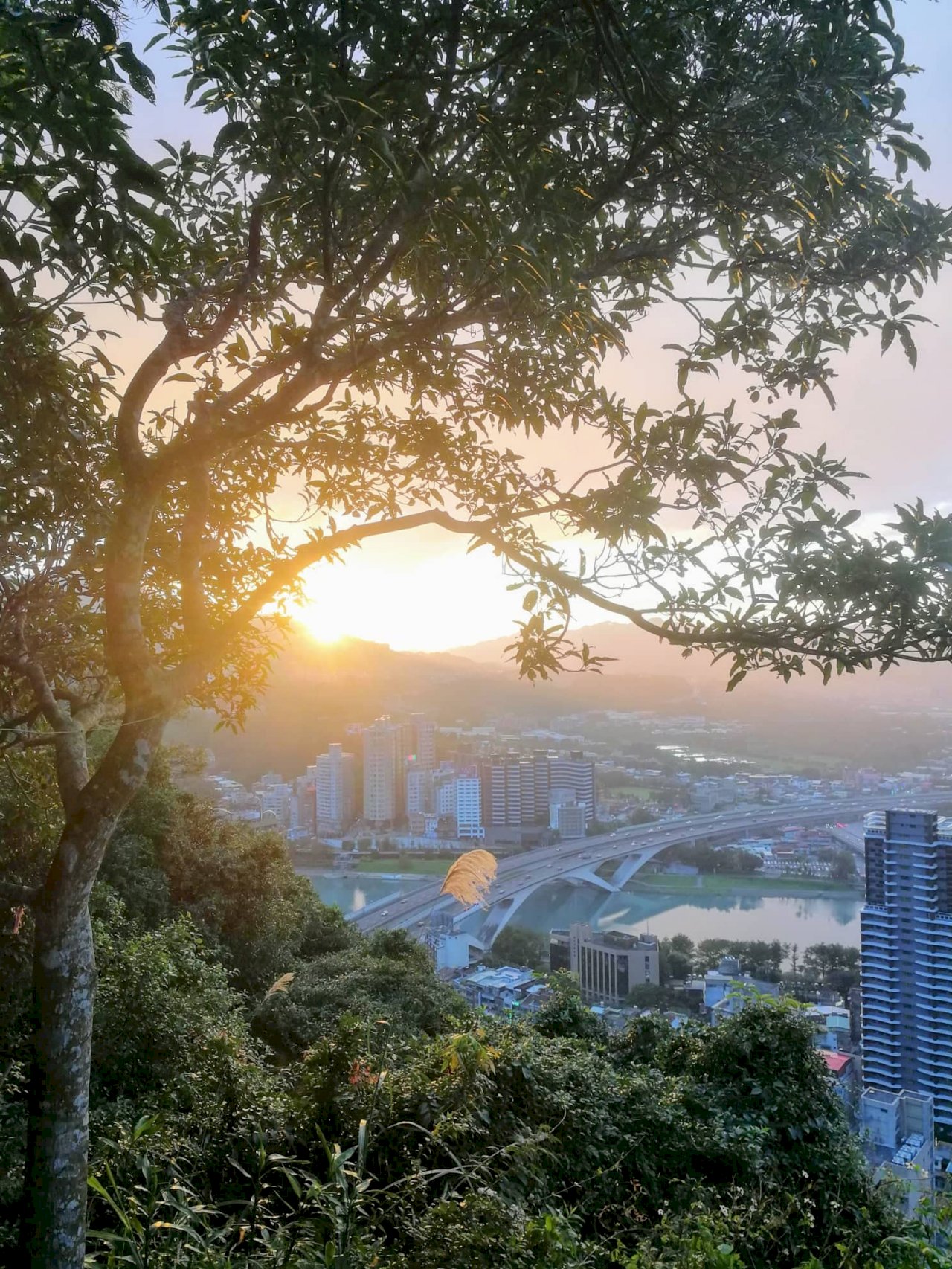 Studie: Was erwartet Expats in Taiwan?