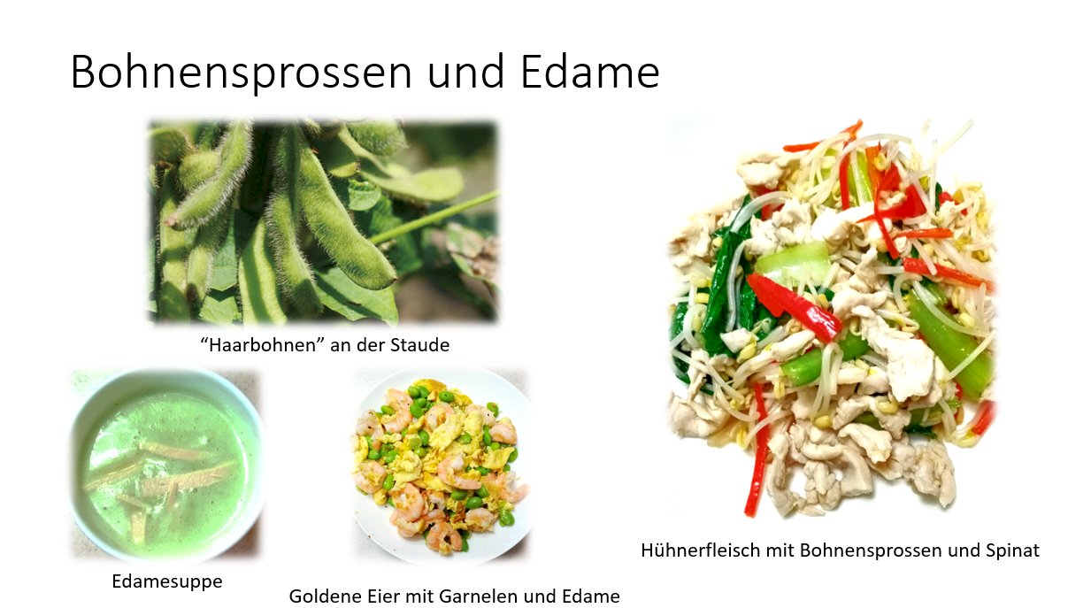 Bohnensprossen und Edame