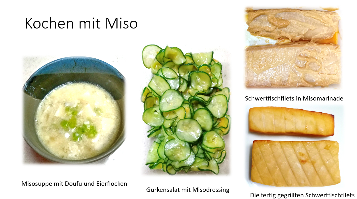 Kochen mit Miso