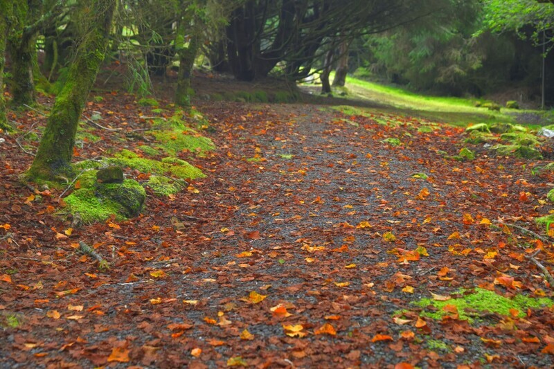 Herbstzeit - Oldiezeit