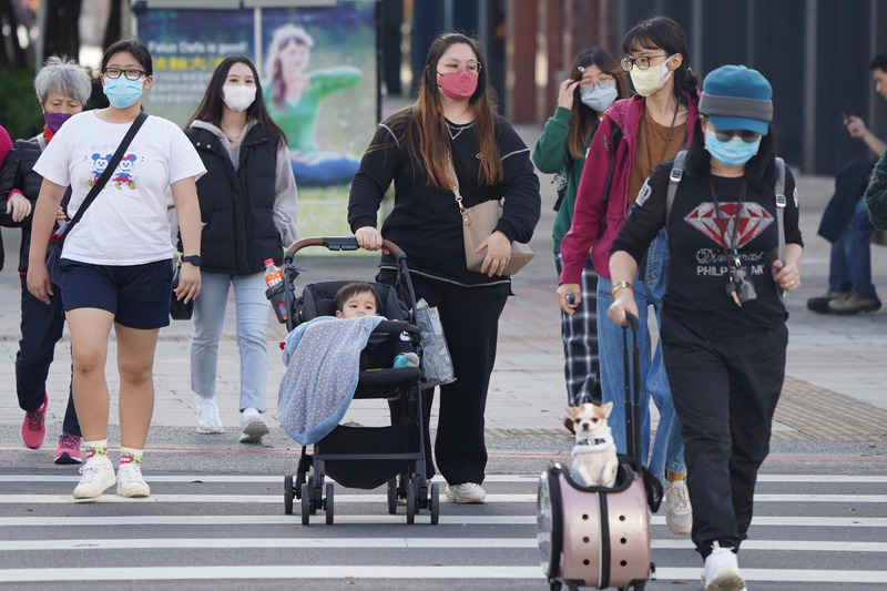 Mehr Haustiere als Kinder in Taiwan