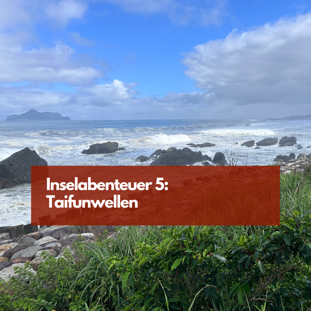 Taifunwellen