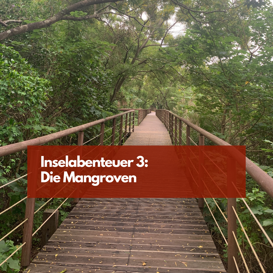 Die Mangroven