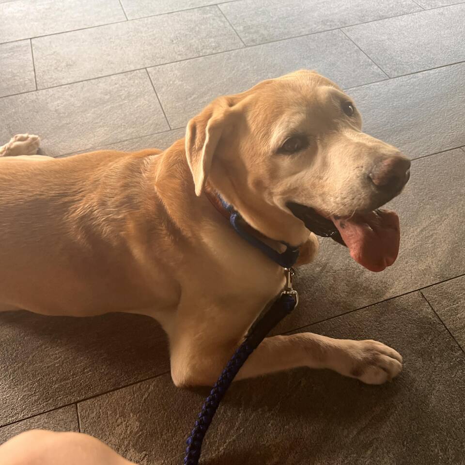 Leben in Taiwan