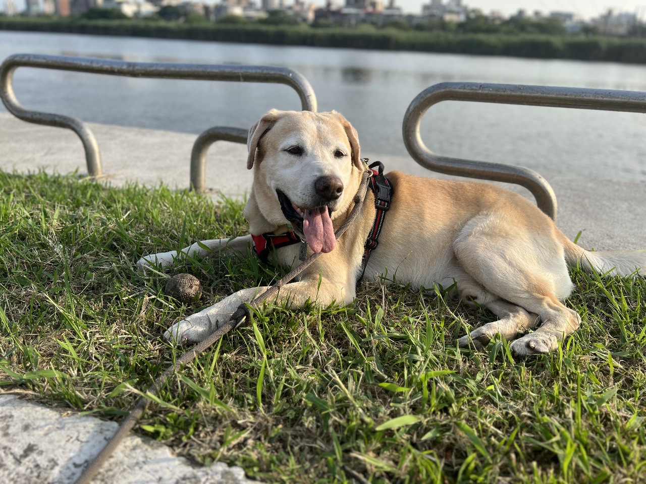 Leben in Taiwan