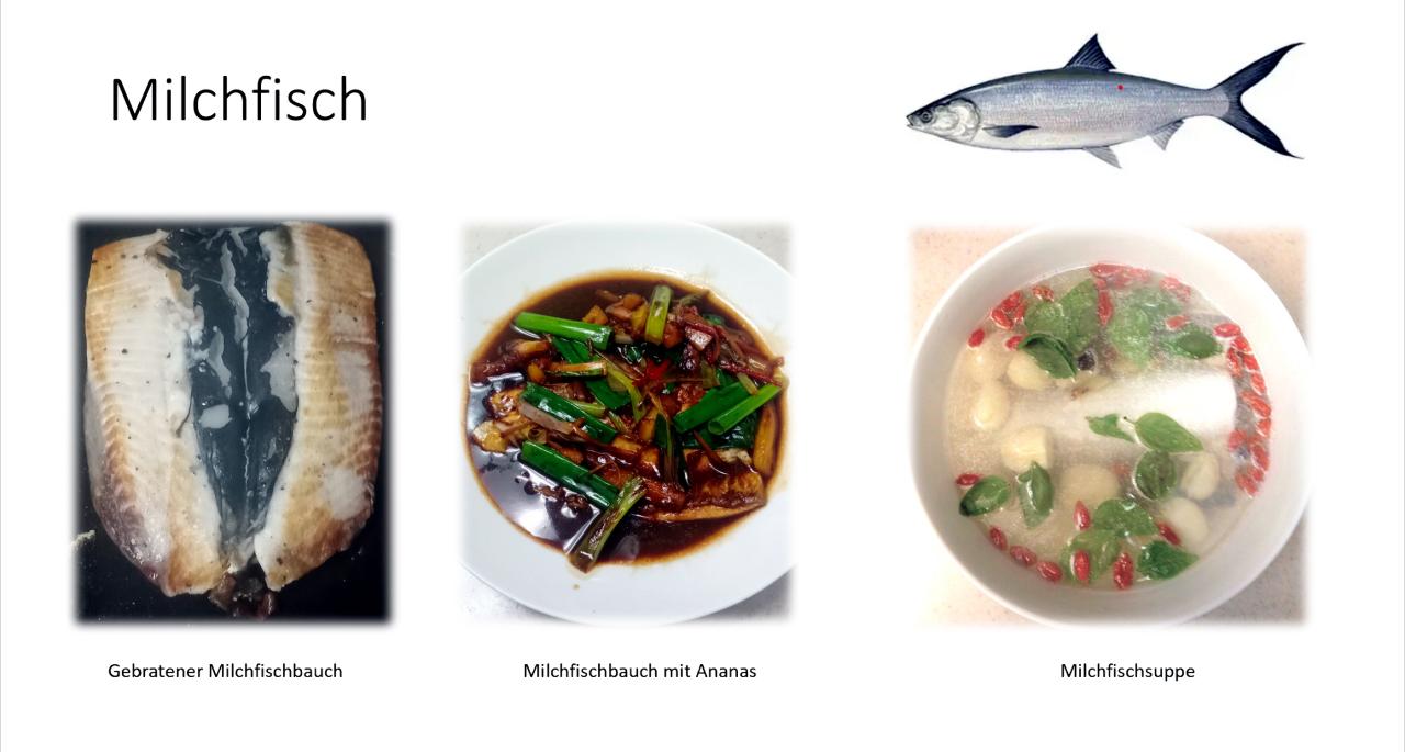 Milchfisch