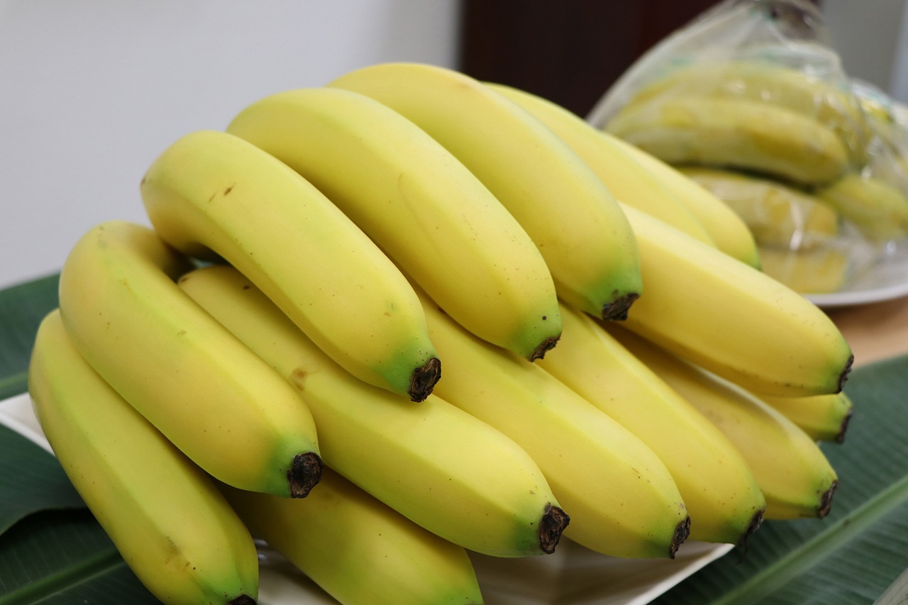 Taiwanische Weltraumorganisation nutzt Satellitentechnologie, um Pilzbefall an Bananenbäumen zu identifizieren