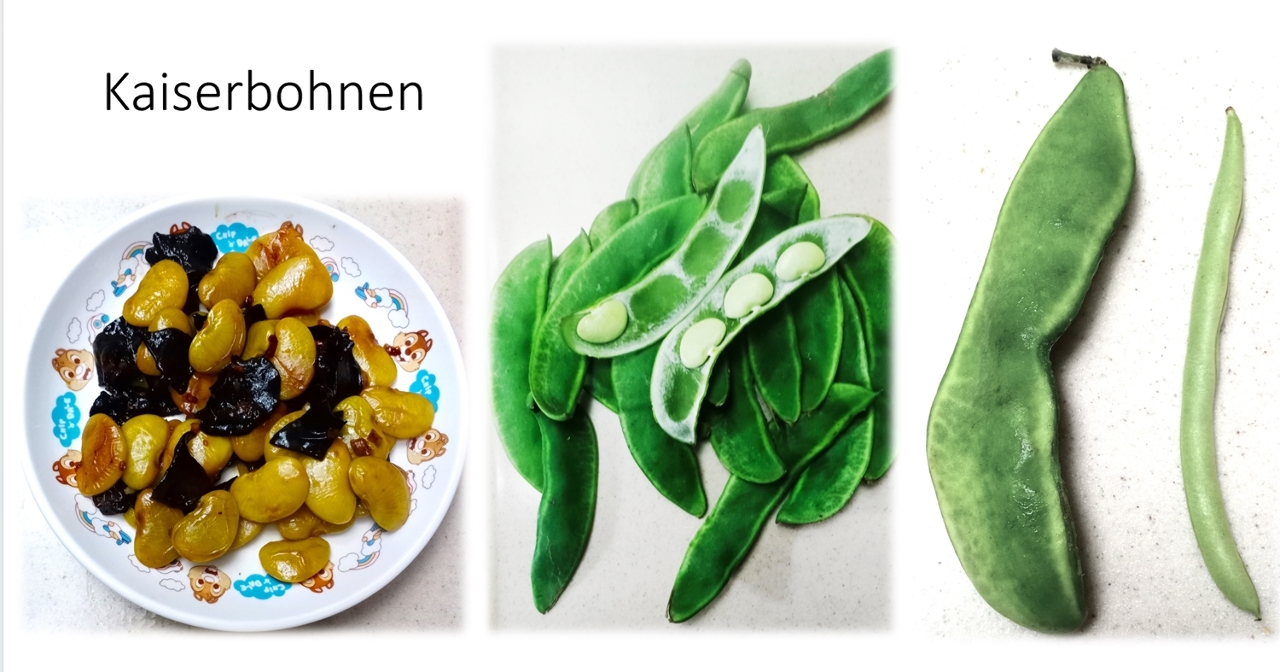 Kaiserbohnen