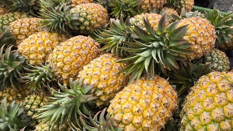Neuseeland genehmigt Einfuhr von Ananas aus Taiwan