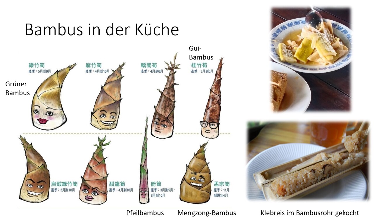 Bambus in Taiwans Küche