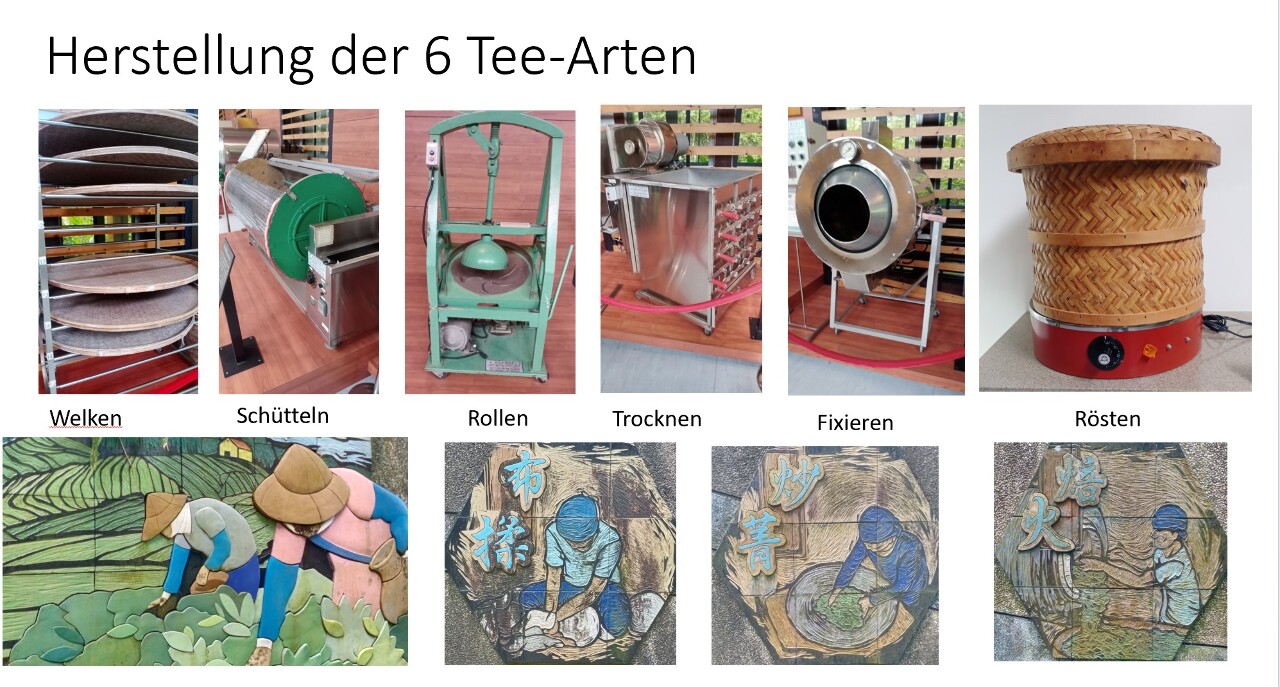 6 Tee-Arten