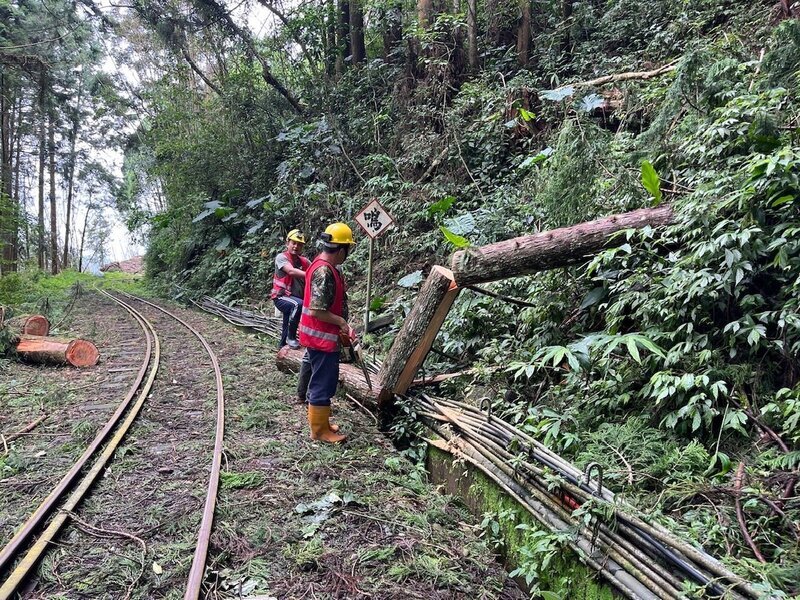 Nach Taifun Gaemi: Alishan-Waldbahn nimmt Betrieb wieder auf