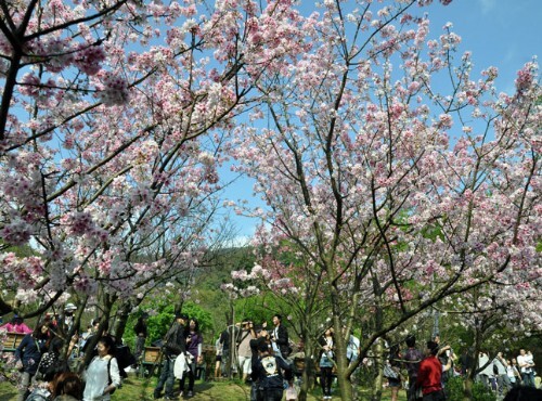 Tour de Yangmingshan