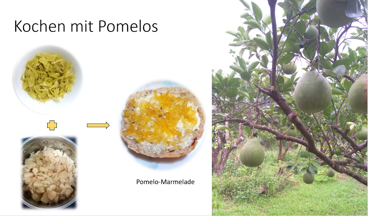 Kochen mit Pomelos