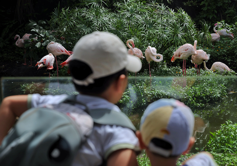 Lohnt sich ein Besuch im Zoo von Taipei?