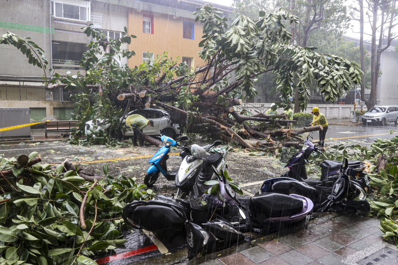 Mit dem Wind segeln: Reisen in Taiwan während eines Taifuns